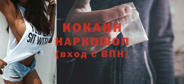 мдпв Няндома