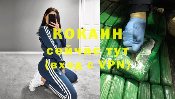 прущий лед Гатчина