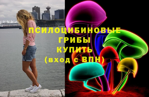 мдпв Няндома