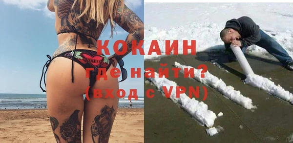 мдпв Няндома