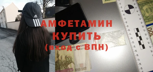 мдпв Няндома