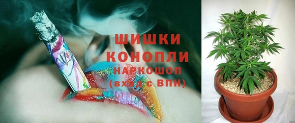мдпв Няндома