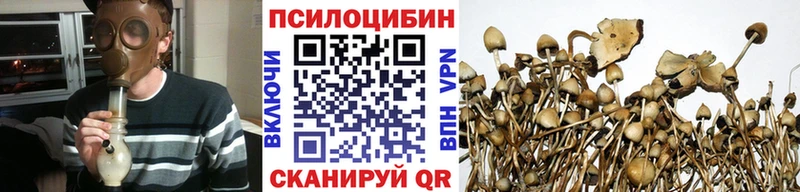 OMG маркетплейс  Рыльск  Галлюциногенные грибы мицелий 